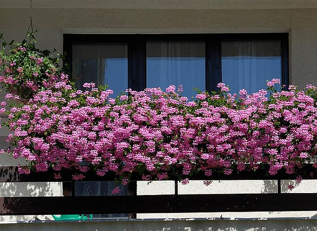 Balcon 1